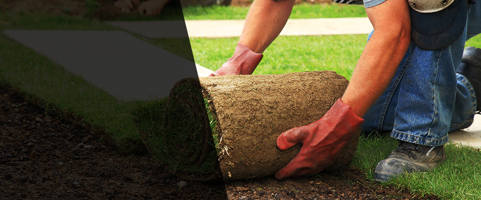 Kingsport Landscapers